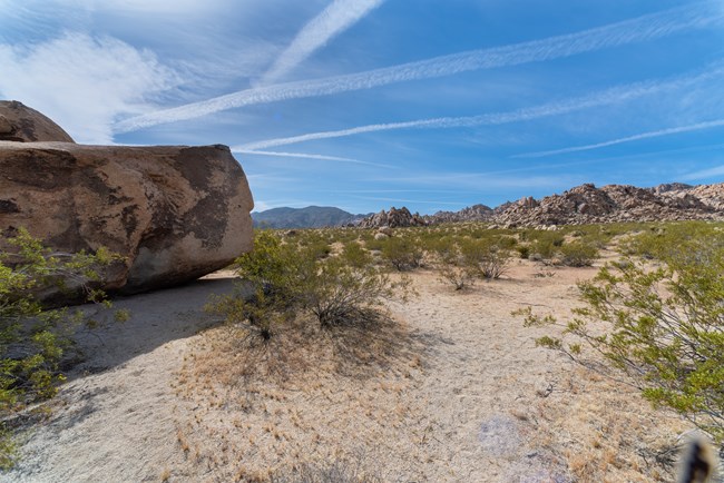 Joshua Tree Climbing Campout 2026